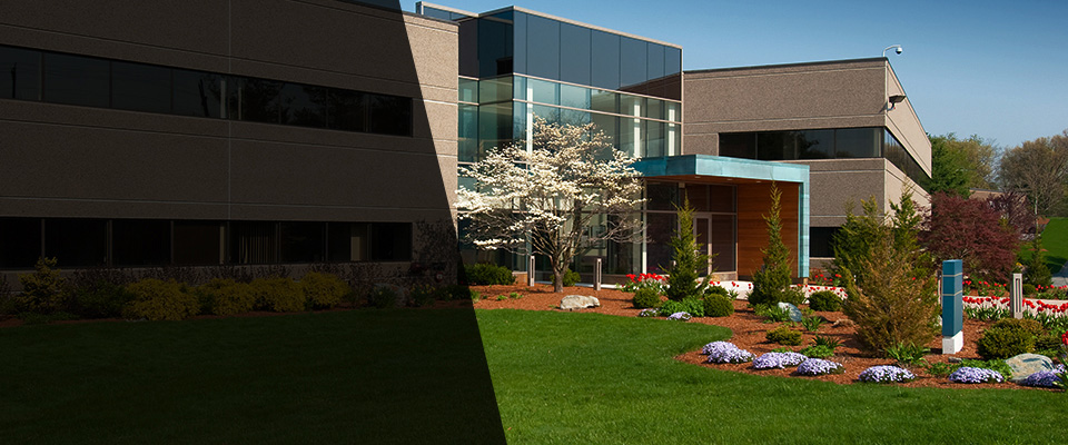 Jamaica Plain Landscapers