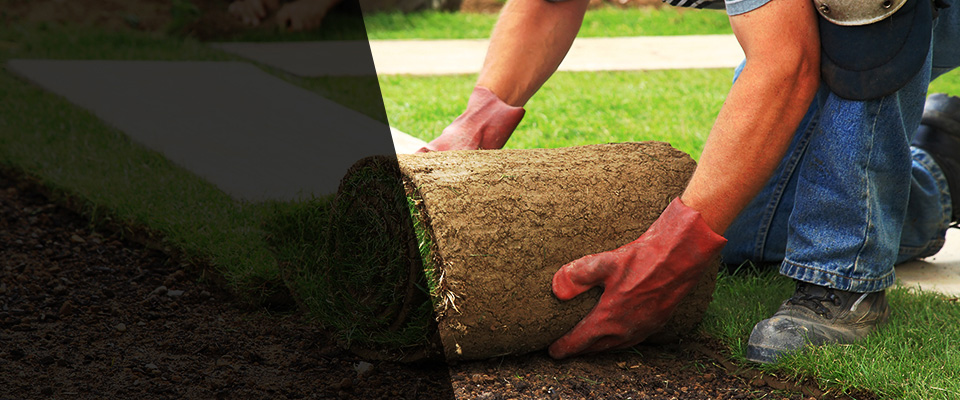 Jamaica Plain Landscapers